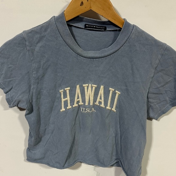 Brandy Melville Tops - Brandy Melville cropped embroidered Hawaii shirt